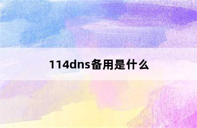 114dns备用是什么