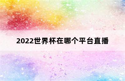 2022世界杯在哪个平台直播