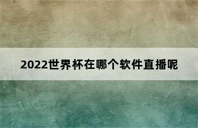 2022世界杯在哪个软件直播呢