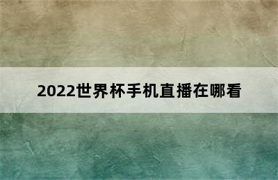 2022世界杯手机直播在哪看