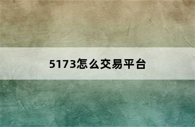 5173怎么交易平台