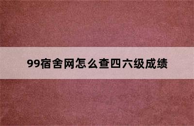 99宿舍网怎么查四六级成绩