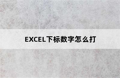 EXCEL下标数字怎么打