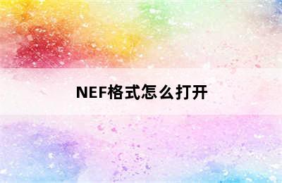 NEF格式怎么打开