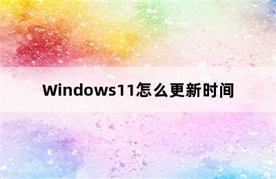 Windows11怎么更新时间