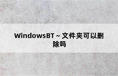 WindowsBT～文件夹可以删除吗