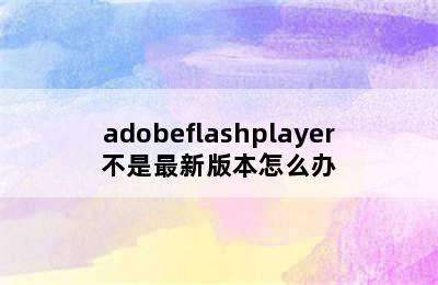 adobeflashplayer不是最新版本怎么办