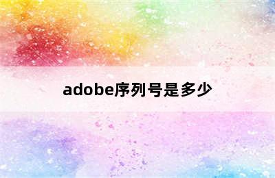 adobe序列号是多少