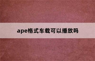 ape格式车载可以播放吗