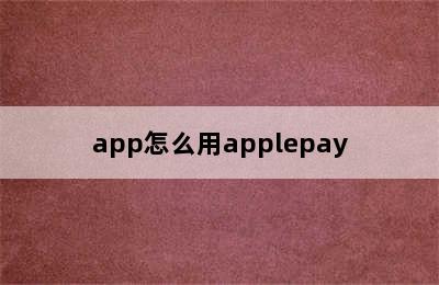 app怎么用applepay