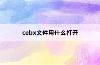 cebx文件用什么打开