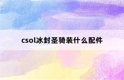 csol冰封圣骑装什么配件