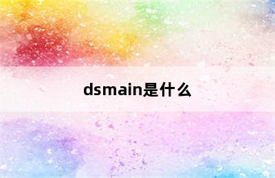 dsmain是什么