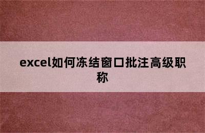 excel如何冻结窗口批注高级职称