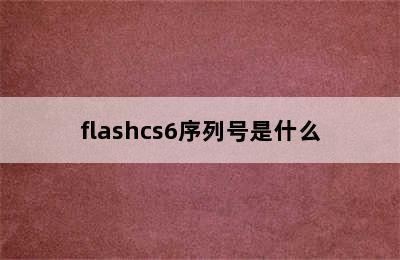 flashcs6序列号是什么