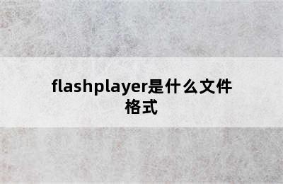 flashplayer是什么文件格式