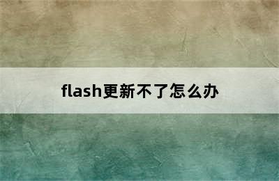 flash更新不了怎么办