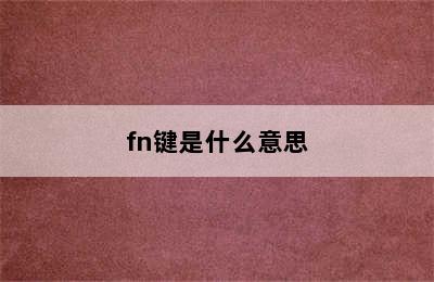 fn键是什么意思