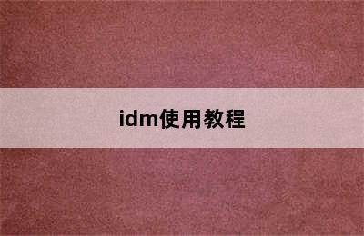 idm使用教程