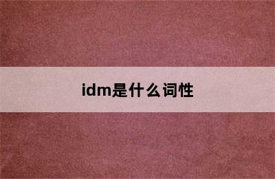 idm是什么词性