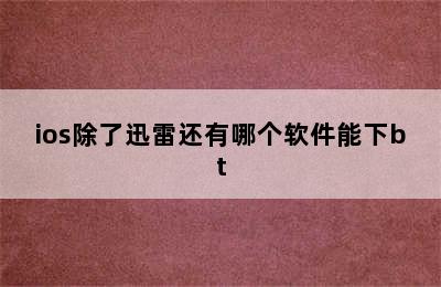 ios除了迅雷还有哪个软件能下bt