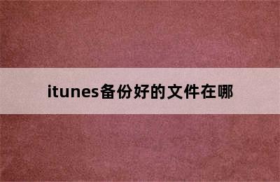 itunes备份好的文件在哪