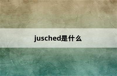 jusched是什么