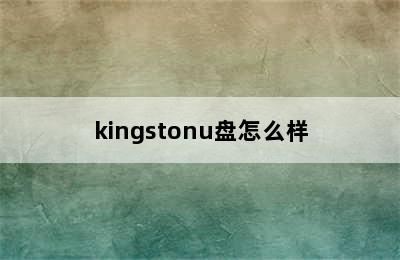 kingstonu盘怎么样