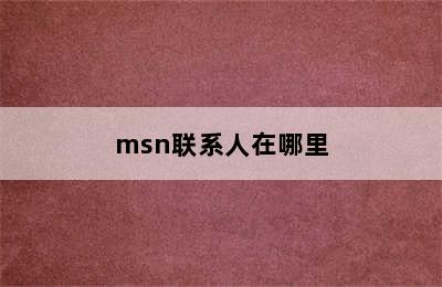 msn联系人在哪里