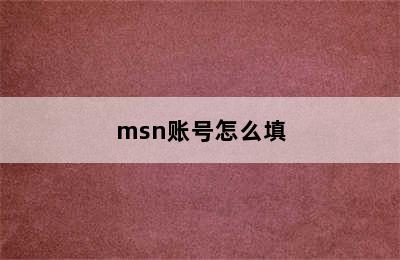 msn账号怎么填