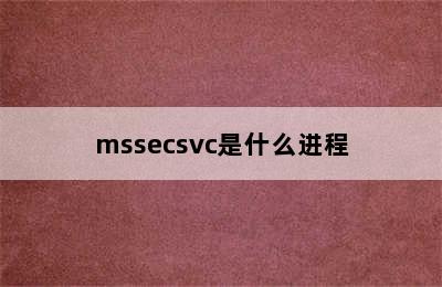 mssecsvc是什么进程