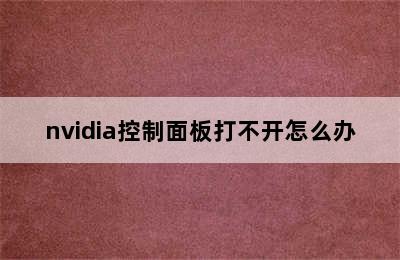 nvidia控制面板打不开怎么办