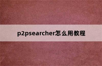 p2psearcher怎么用教程