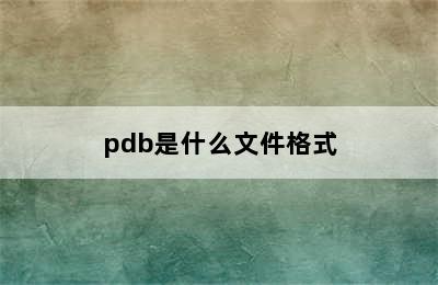 pdb是什么文件格式