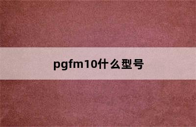 pgfm10什么型号