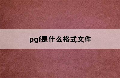 pgf是什么格式文件