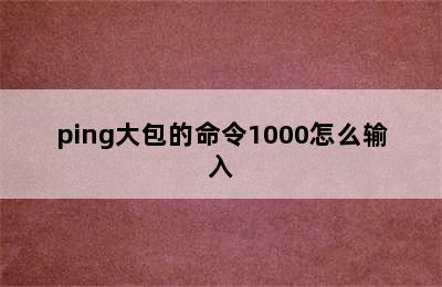 ping大包的命令1000怎么输入