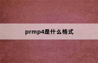 prmp4是什么格式