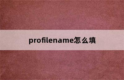 profilename怎么填