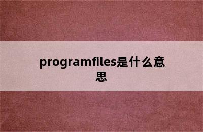 programfiles是什么意思