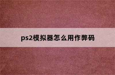 ps2模拟器怎么用作弊码