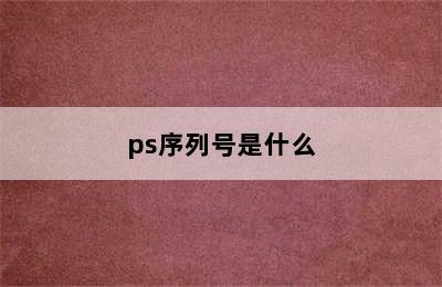 ps序列号是什么