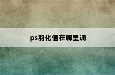 ps羽化值在哪里调