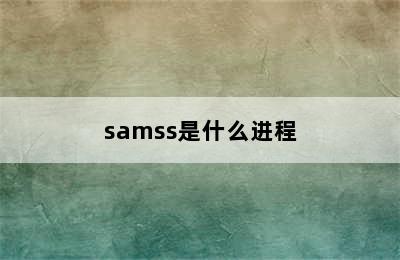 samss是什么进程