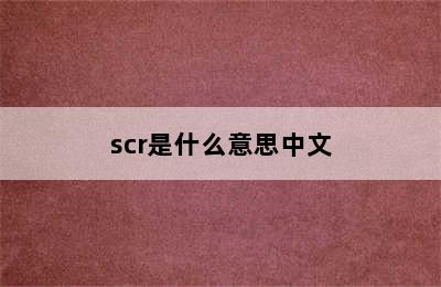 scr是什么意思中文