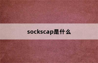 sockscap是什么