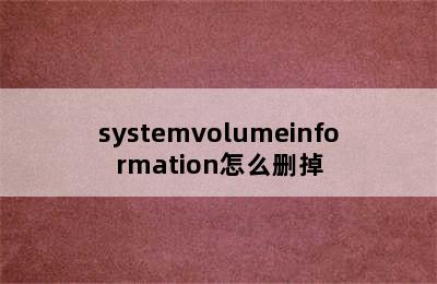 systemvolumeinformation怎么删掉