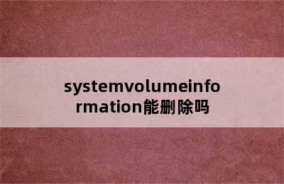 systemvolumeinformation能删除吗