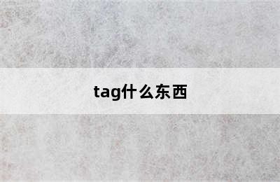 tag什么东西