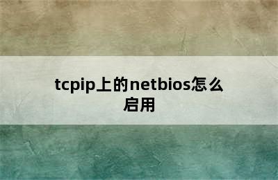 tcpip上的netbios怎么启用